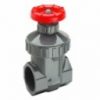 2" PVC Gate Valve